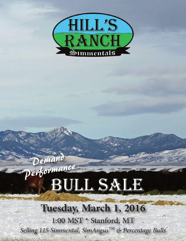 Hill's Ranch - 2016 Bull Sale