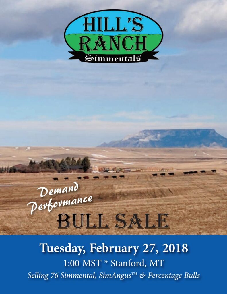 Hill's Ranch - 2018 Bull Sale