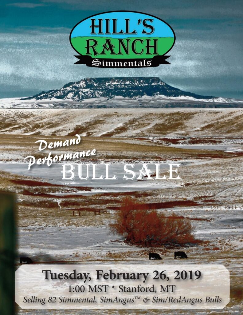 Hill's Ranch - 2019 Sale