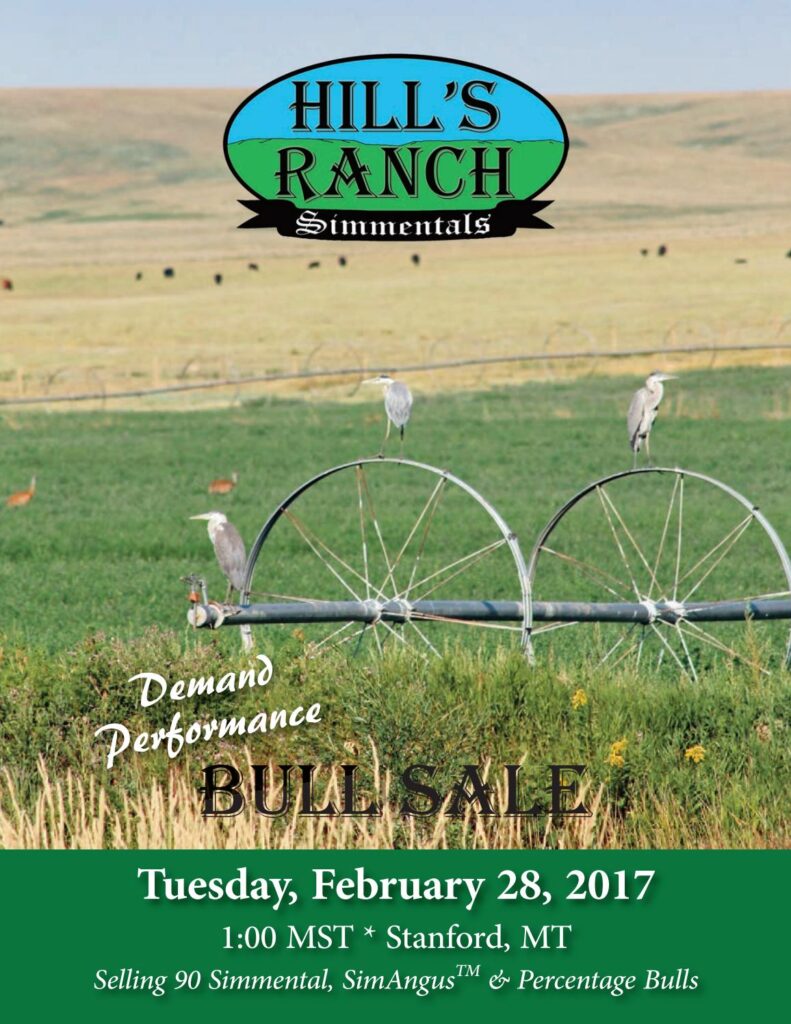 Hill's Ranch Simmental - 2017 Bull Sale