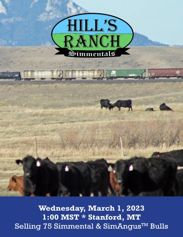 Hill's Ranch Simmentals - 2023 Spring Sale