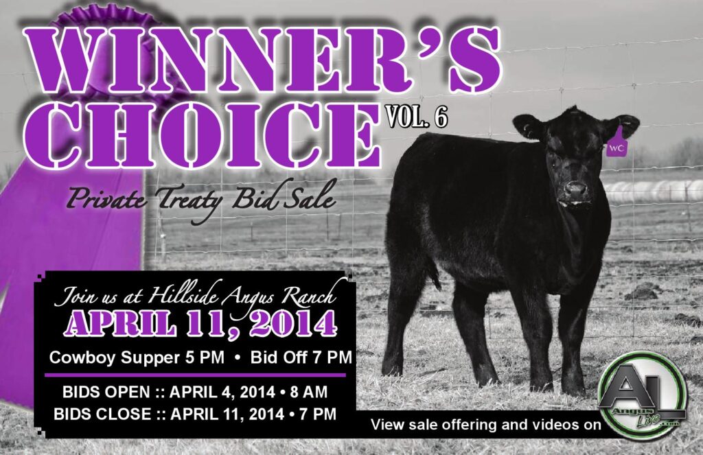 Hillside Angus Ranch - Winners Coice Sale, Vol. 6