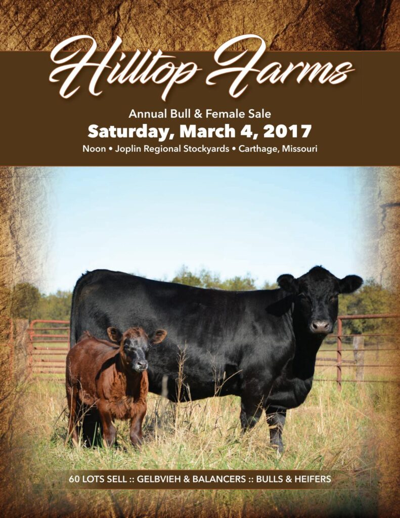 Hilltop Farms - 2017 Bull and Female Sale