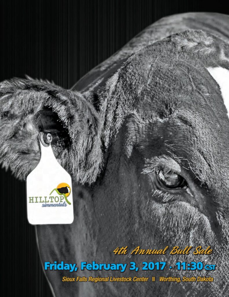 Hilltop Simmentals - 2017 Annual Sale