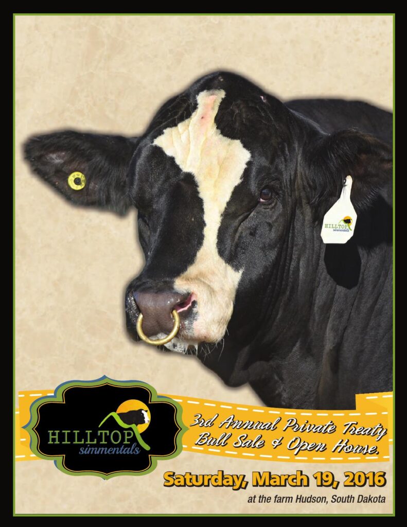 Hilltop Simmentals - 3rd Annual Private Treaty Bull Sale & Open House