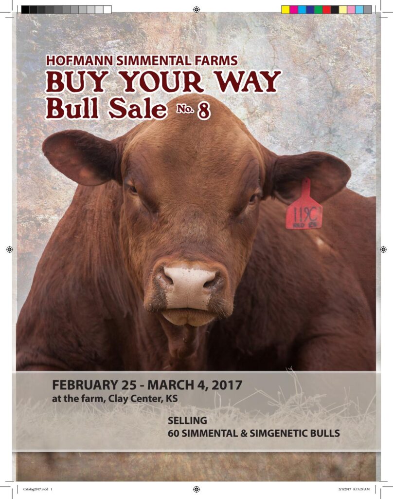 Hofmann Simmental Farms - 2017 'Buy Your Way' Bull Sale