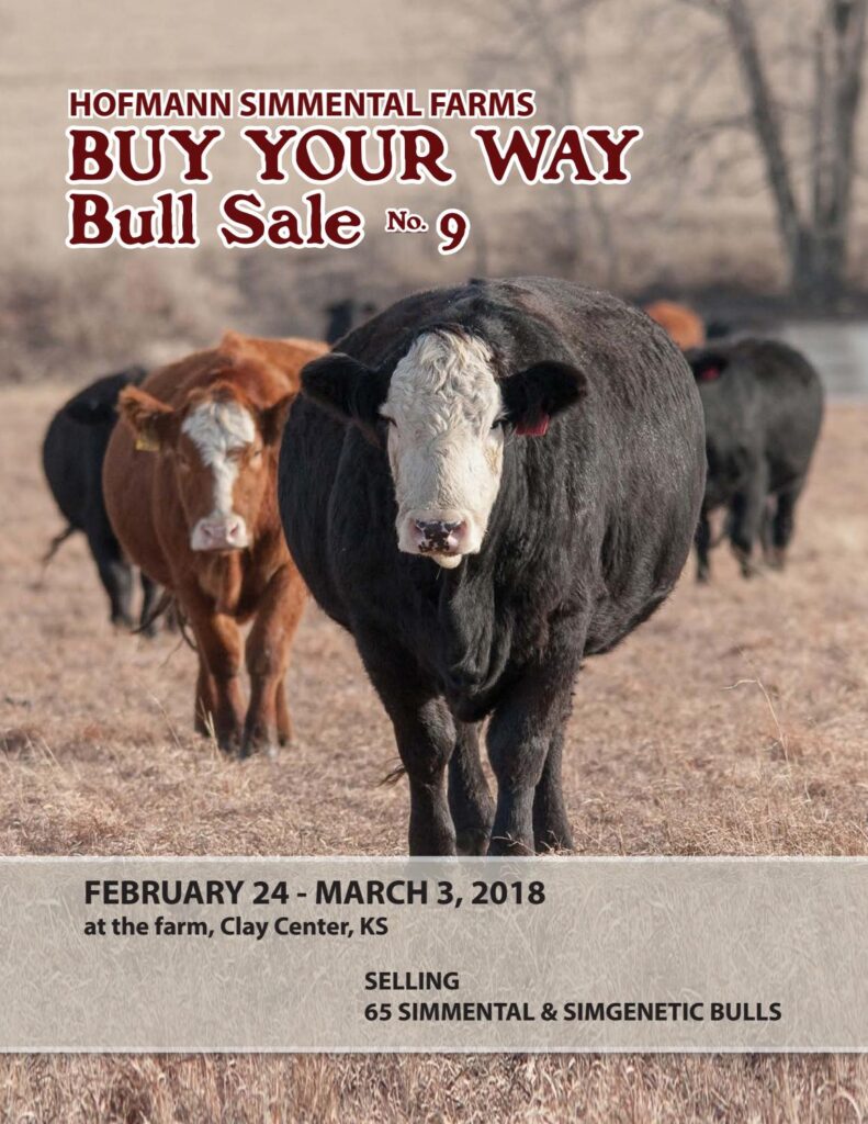 Hofmann Simmental Farms - 2018 Bull Sale