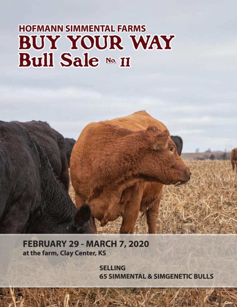 Hofmann Simmental Farms - 2020 Spring Sale