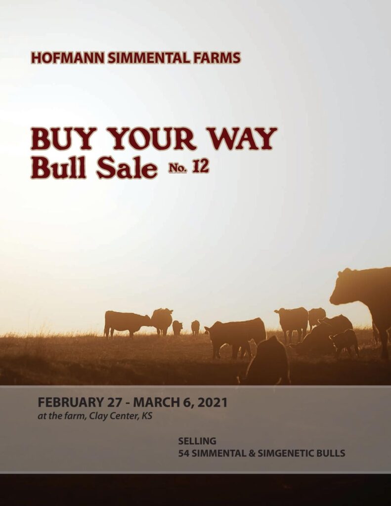 Hofmann Simmental Farms - 2021 Spring Sale