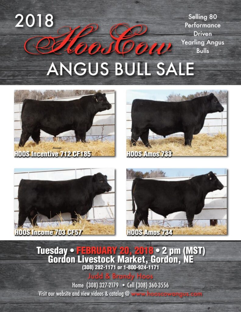 HoosCow Angus - 2018 Bull Sale
