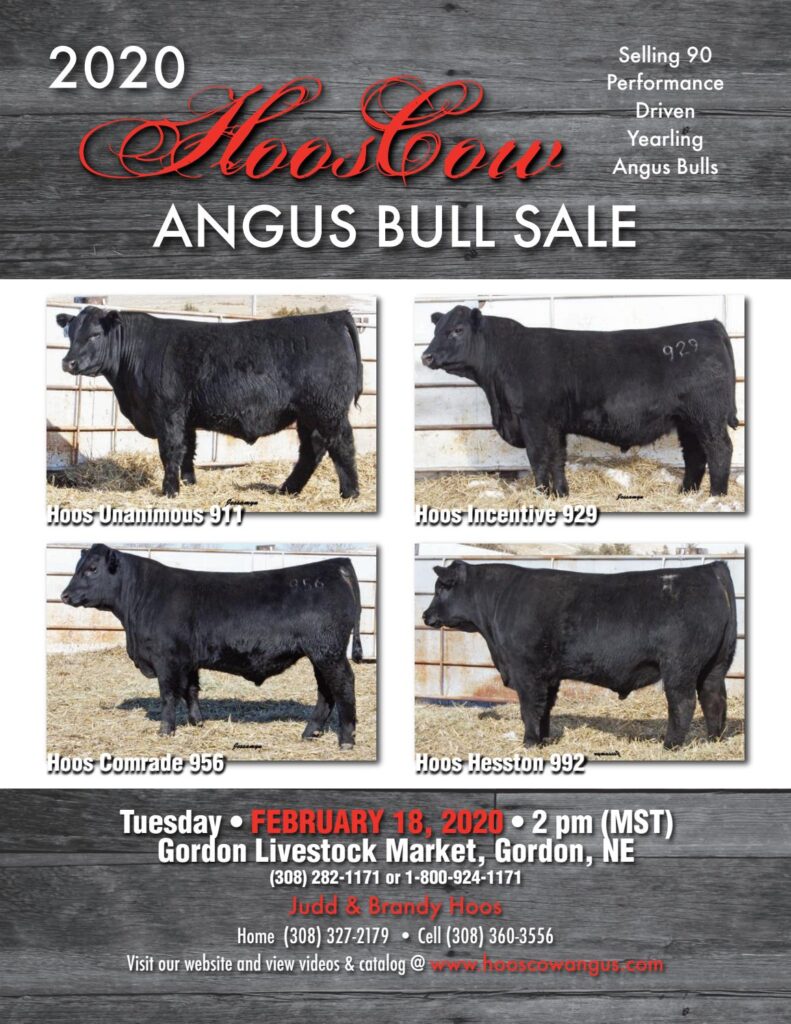 HoosCow Angus - 2020 Sale