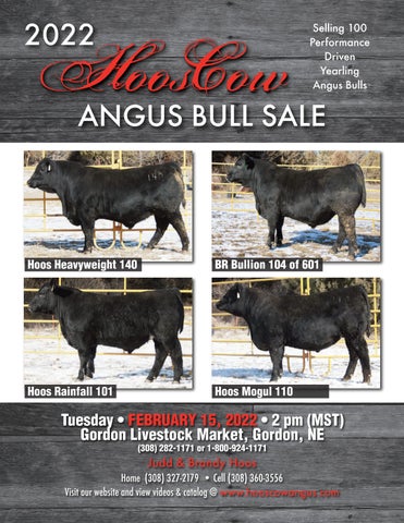 HoosCow Angus - 2022 Spring Sale