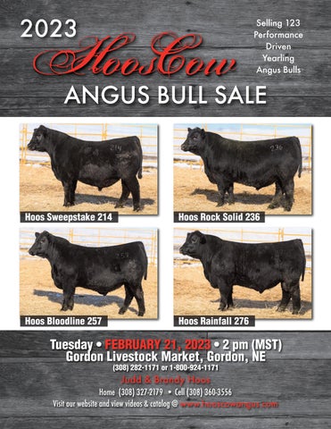 HoosCow Angus - 2023 Spring Sale
