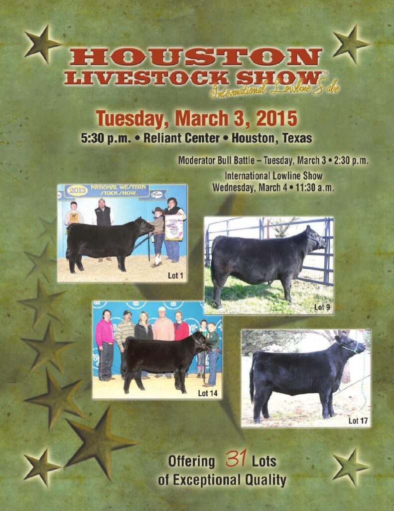 Houston Livestock Show - 2015 International Lowline Sale