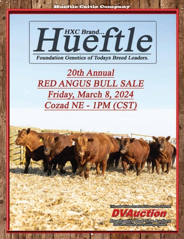 Hueftle 20th Annual Red Angus Bull Sale