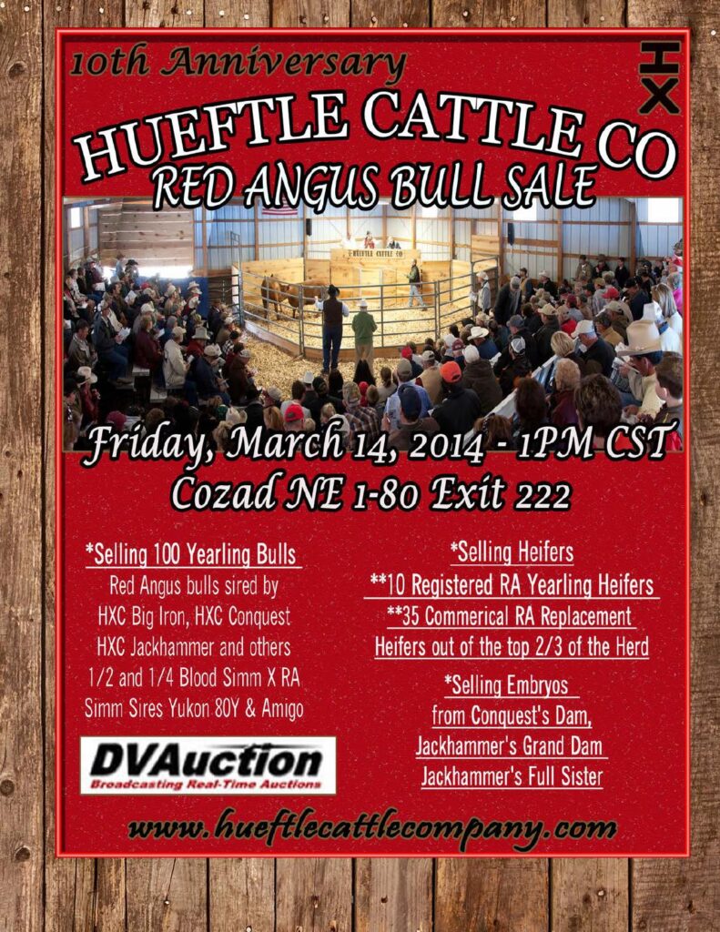 Hueftle Cattle Company - 10th Annual Red Angus Bull Sale