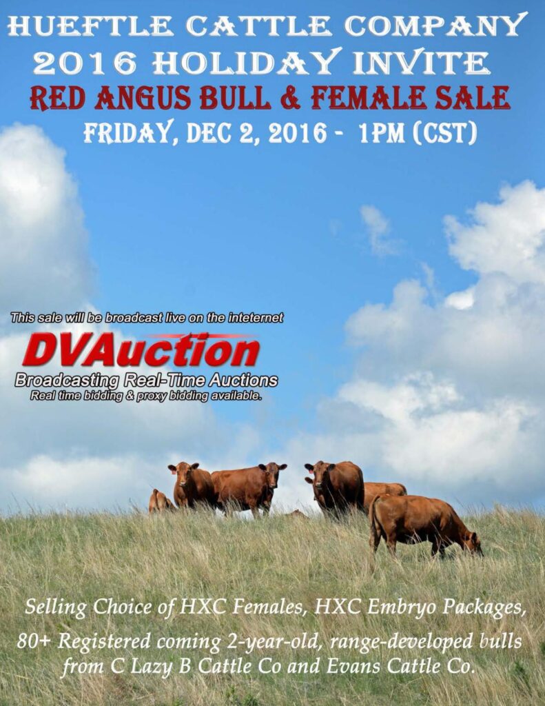 Hueftle Cattle Company - 2016 Holiday Invite Bull & Female Sale