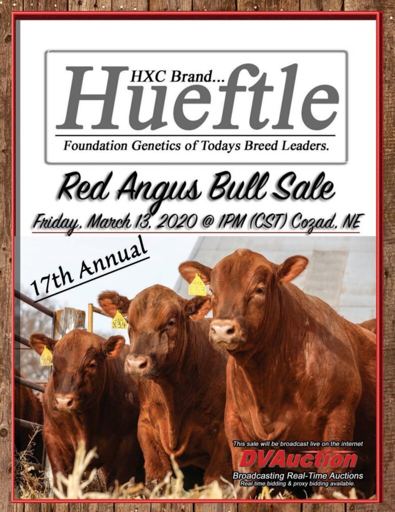 Hueftle Cattle Company - 2020 Sale