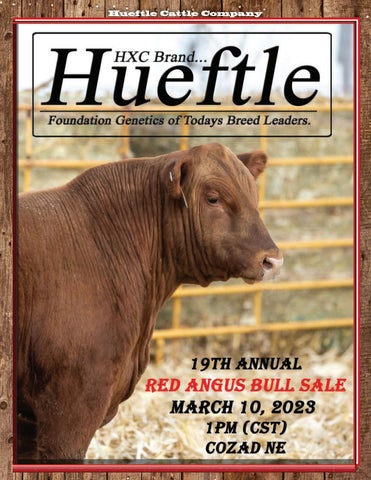 Hueftle Cattle Company - 2023 Spring Sale