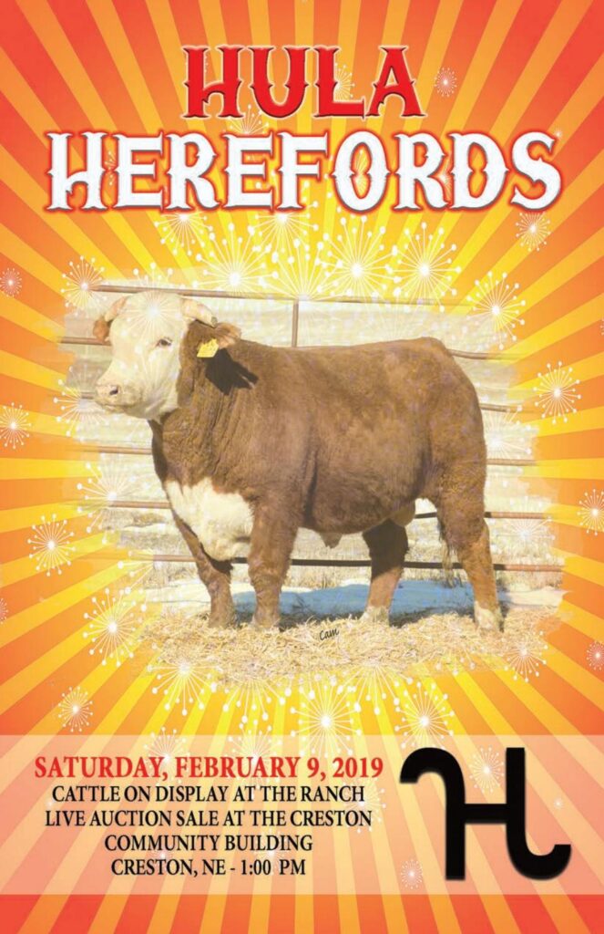 Hula Herefords - 2019 Sale