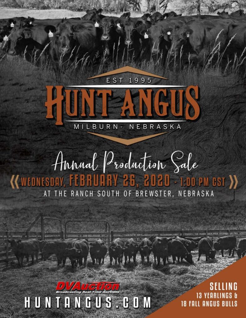 Hunt Angus - 2020 Production Sale