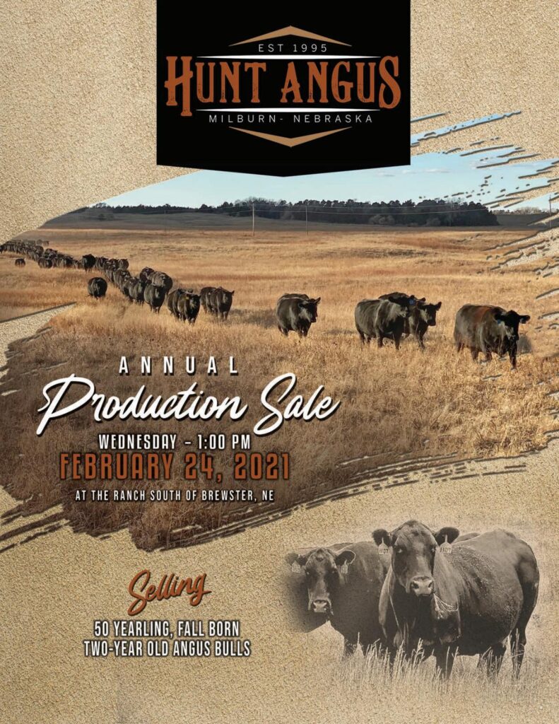 Hunt Angus - 2021 Spring Sale