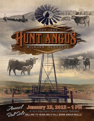 Hunt Angus - 2023 Spring Sale