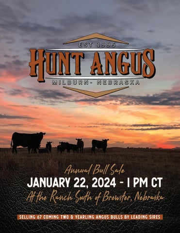 Hunt Angus Annual Bull Sale