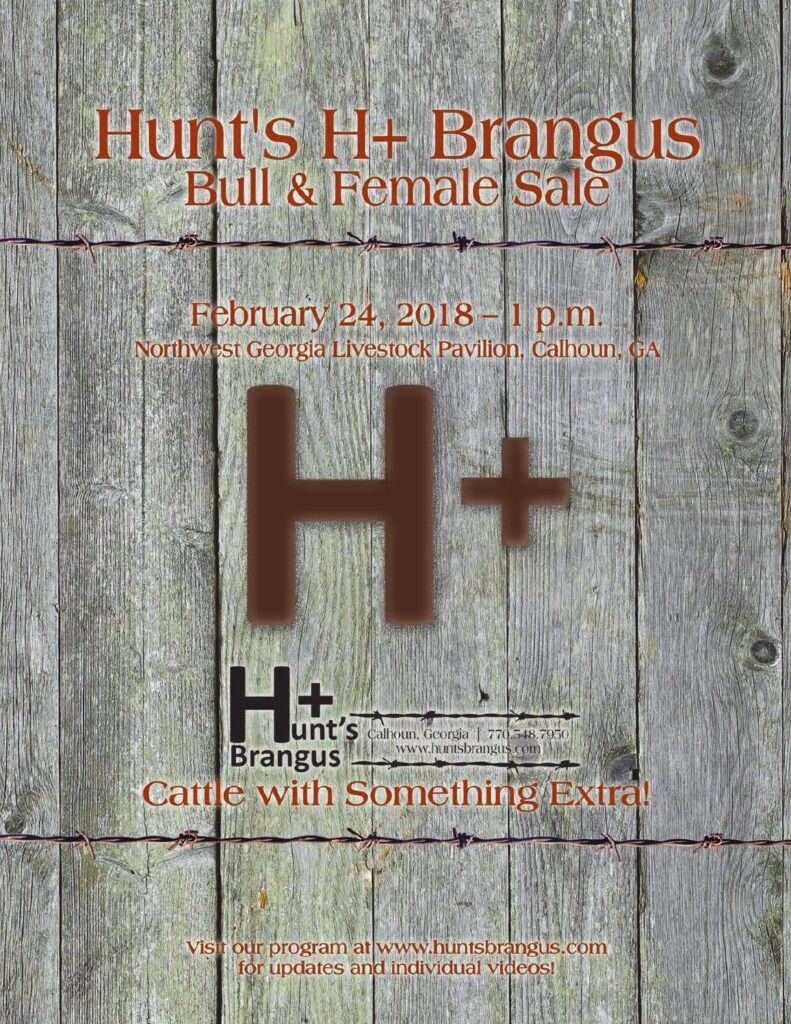 Hunt's Brangus - 2018 Bull Sale