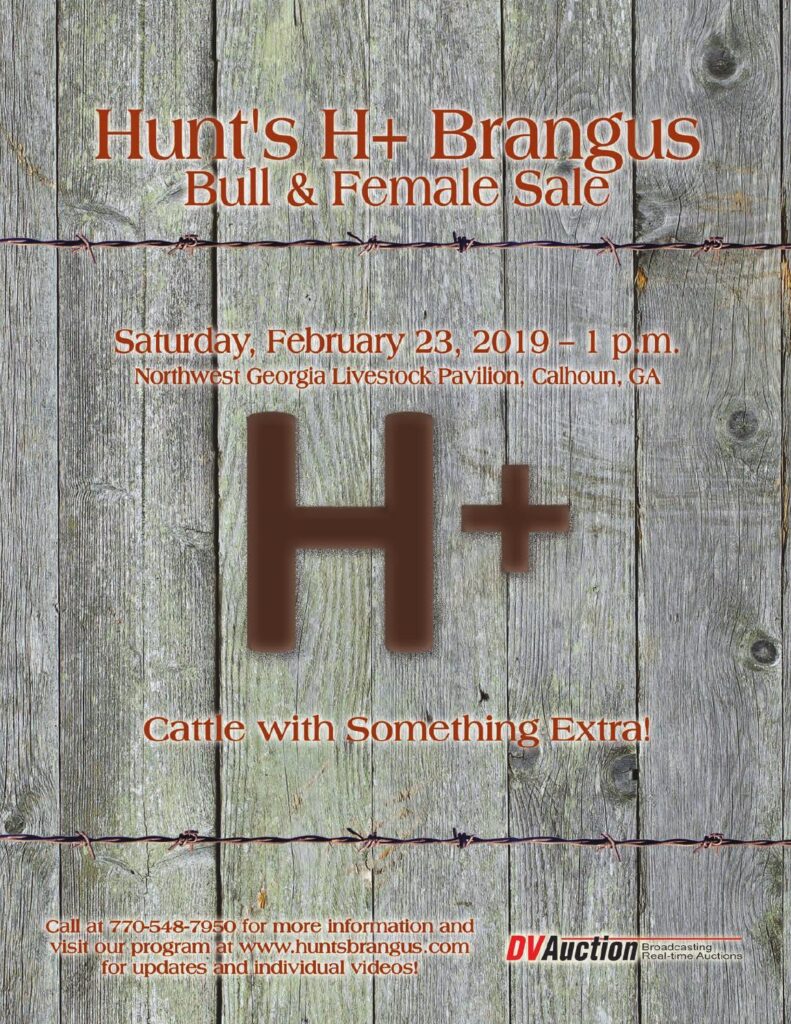 Hunt's Brangus - 2019 Bull Sale