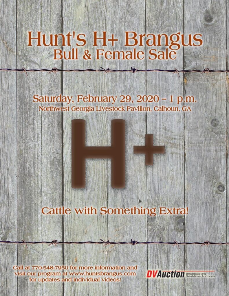 Hunt's Brangus - 2020 Bull Sale