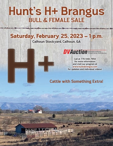 Hunt's Brangus - 2023 Spring Bull Sale