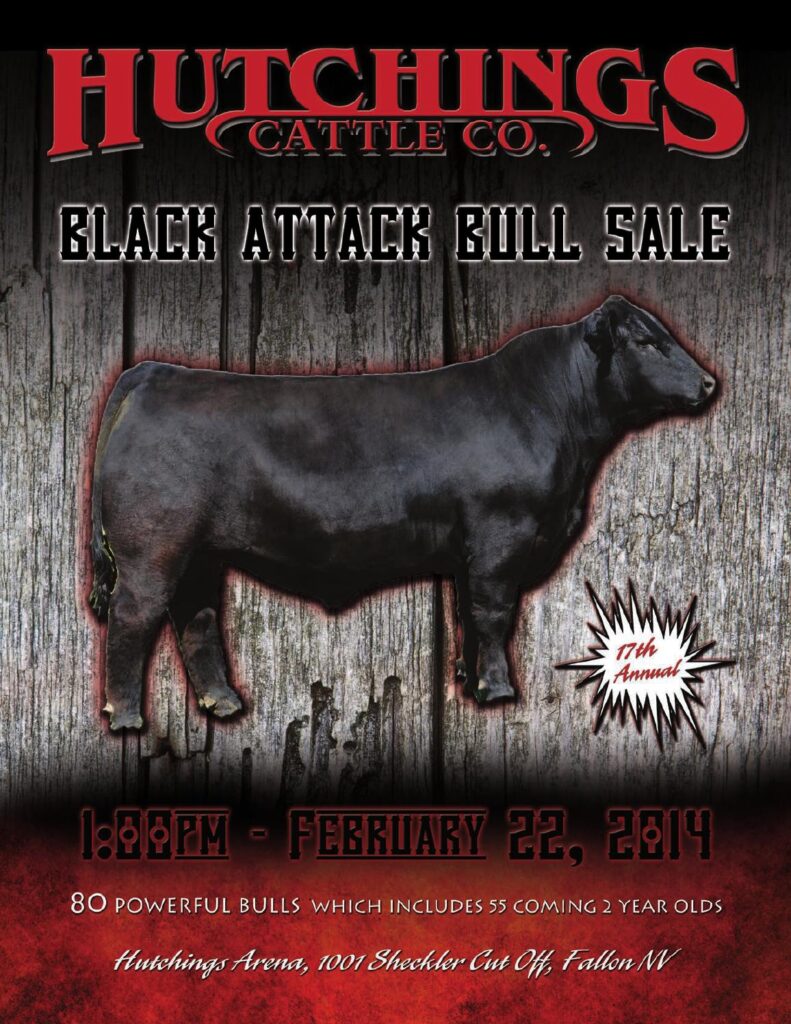 Hutchings Cattle Company - 17th Annual 'Black Attack' Bull Sale