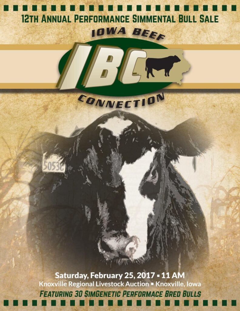 Iowa Beef Connection - 2017 Bull Sale