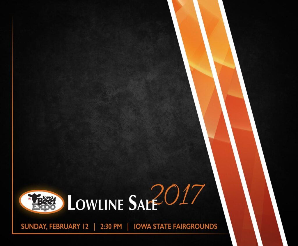 Iowa Beef Expo - 2017 Lowline Sale