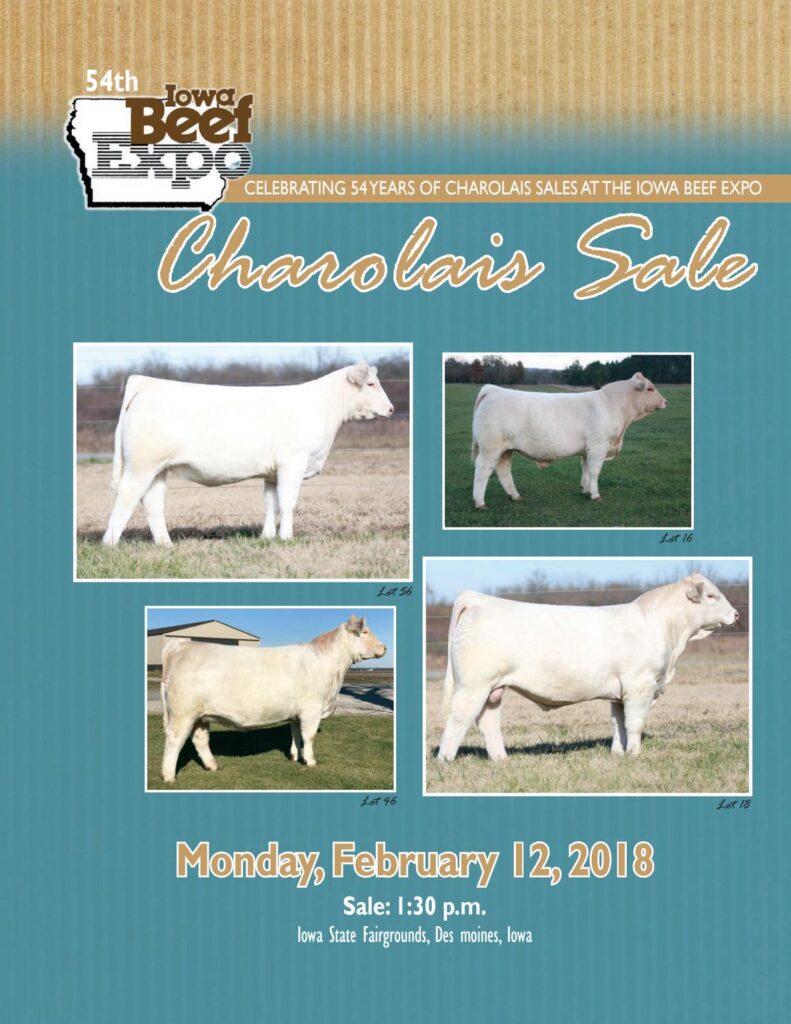 Iowa Beef Expo - 2018 Charolais Sale