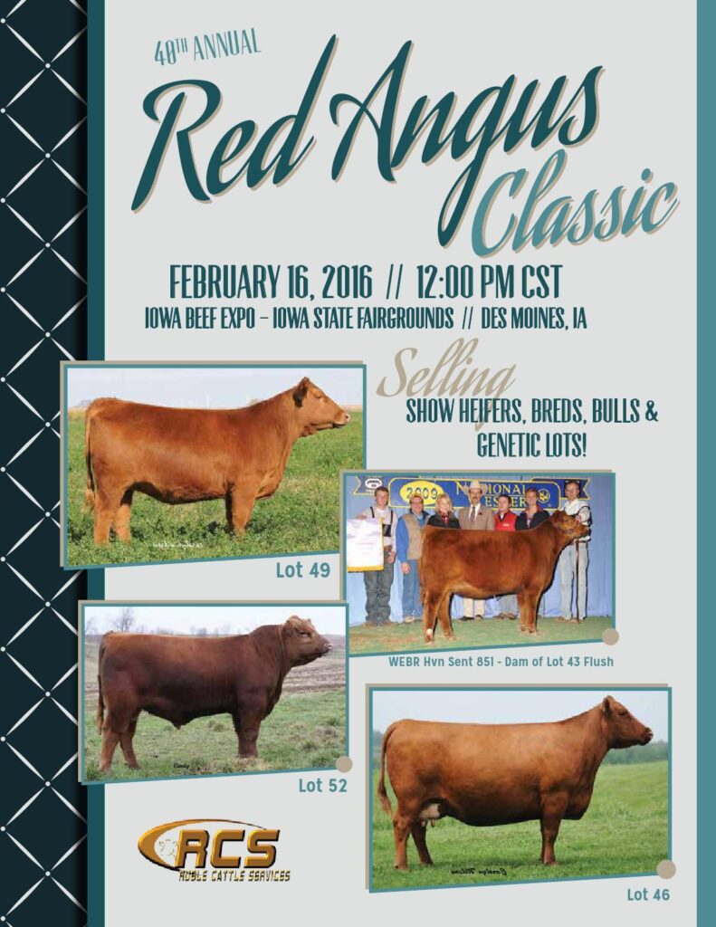 Iowa Beef Expo - 40th Annual Red Angus Classic Sale