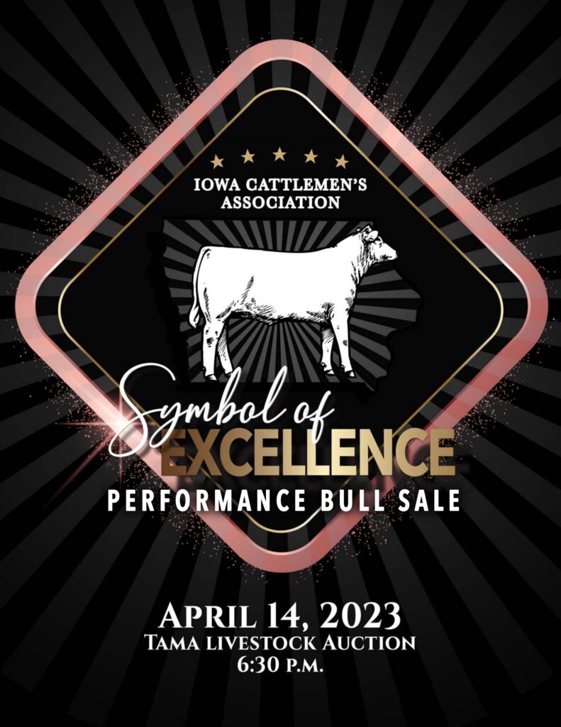 Iowa Cattlemen's Association - 2023 Spring Tama Sale