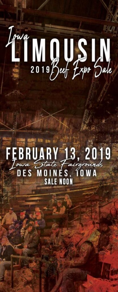 Iowa Limousin Association - 2019 Beef Expo Sale