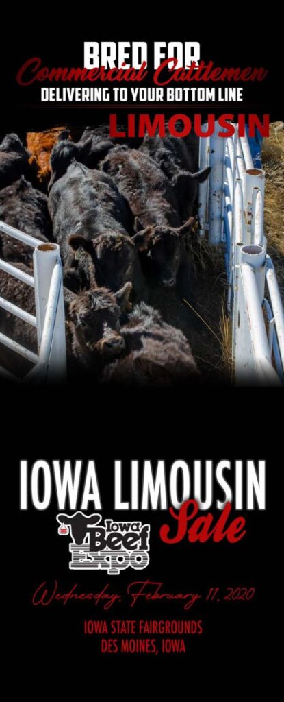 Iowa Limousin Association - 2020 Beef Expo Sale