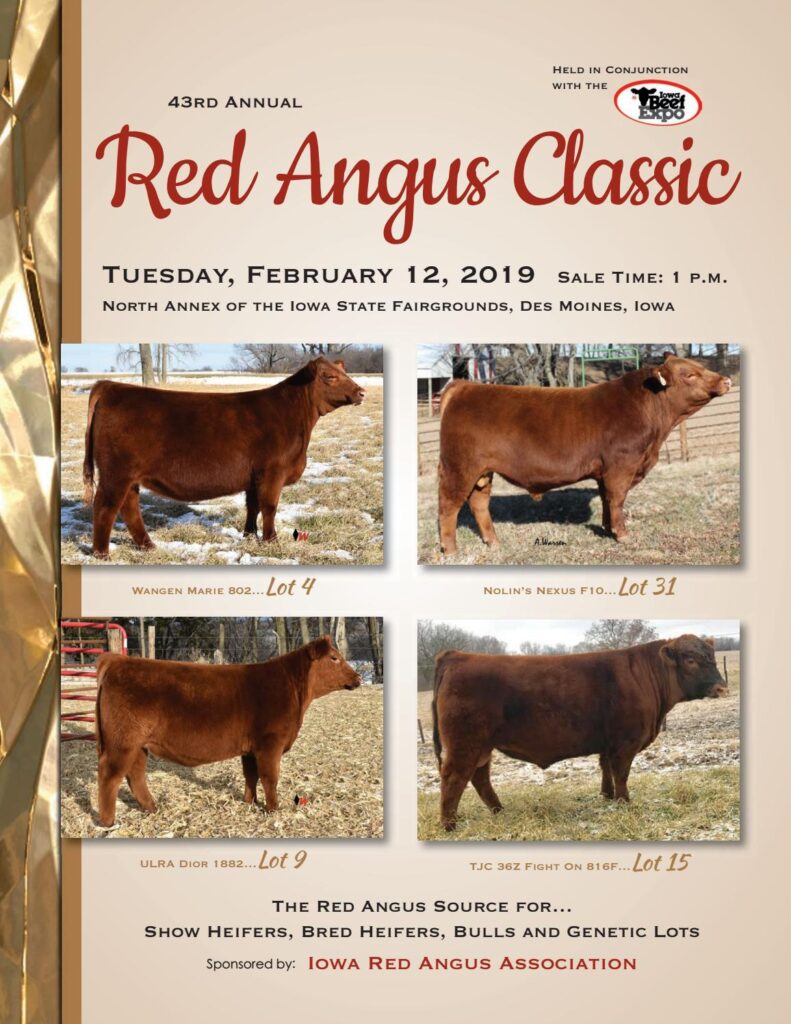 Iowa Red Angus Association - 2019 Iowa Beef Expo Sale