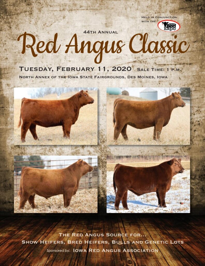 Iowa Red Angus Association - 2020 Iowa Beef Expo Sale