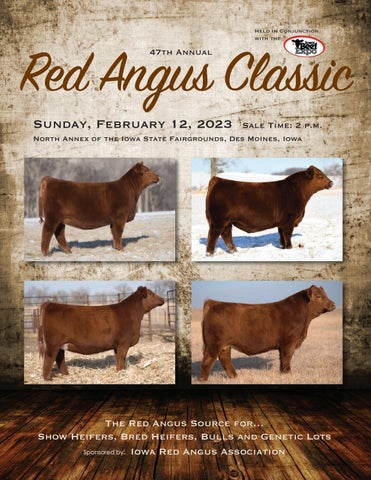 Iowa Red Angus Association - 2023 Iowa Beef Expo Sale