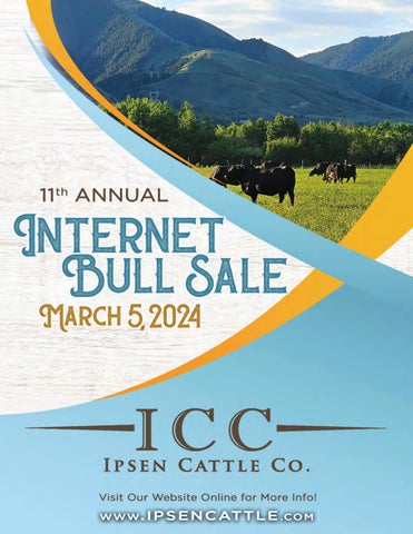 Ipsen Cattle Co. Annual Internet Bull Sale