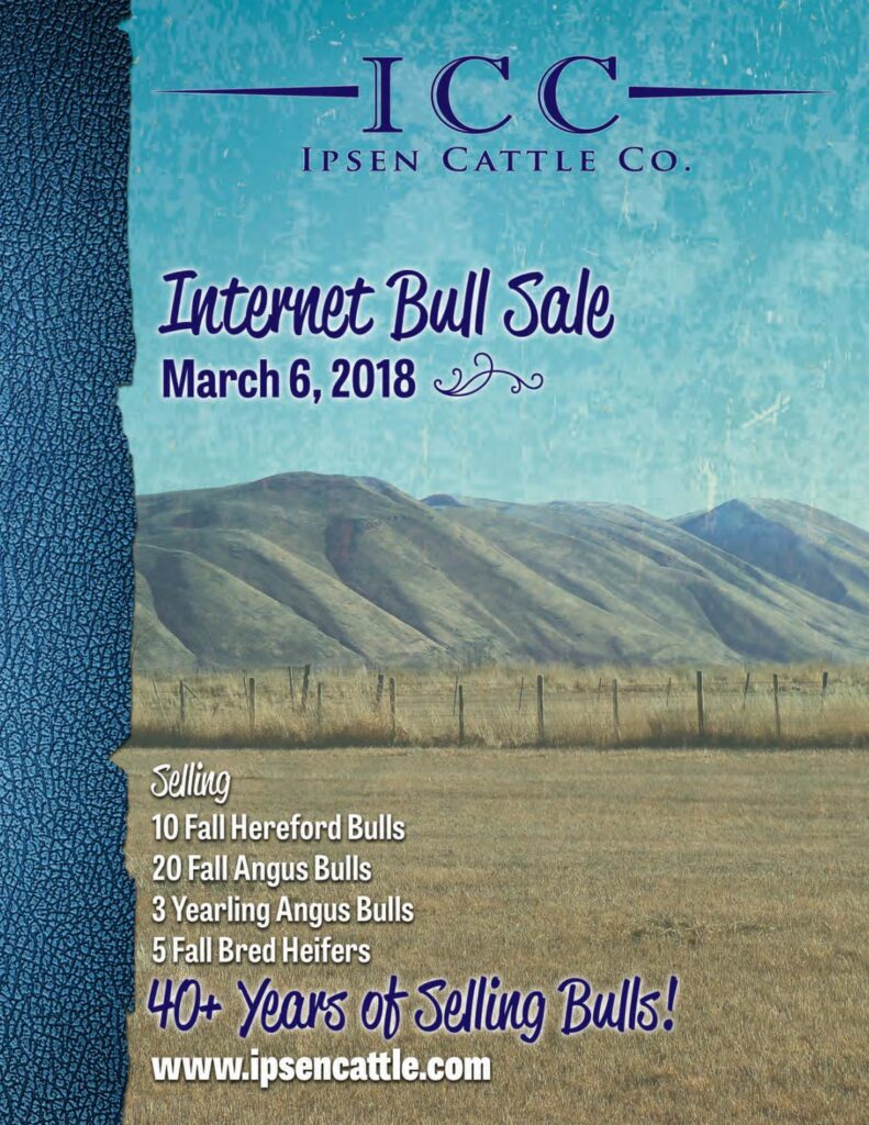 Ipsen Cattle Company - 2018 Bull Sale