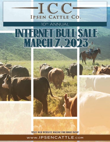 Ipsen Cattle Company - 2023 Spring Sale