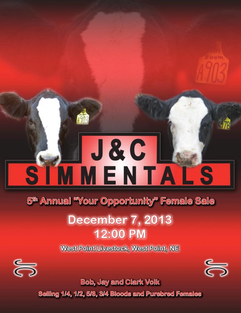 J and C Simmentals - 5th Annual Your Opportunity Female Sale