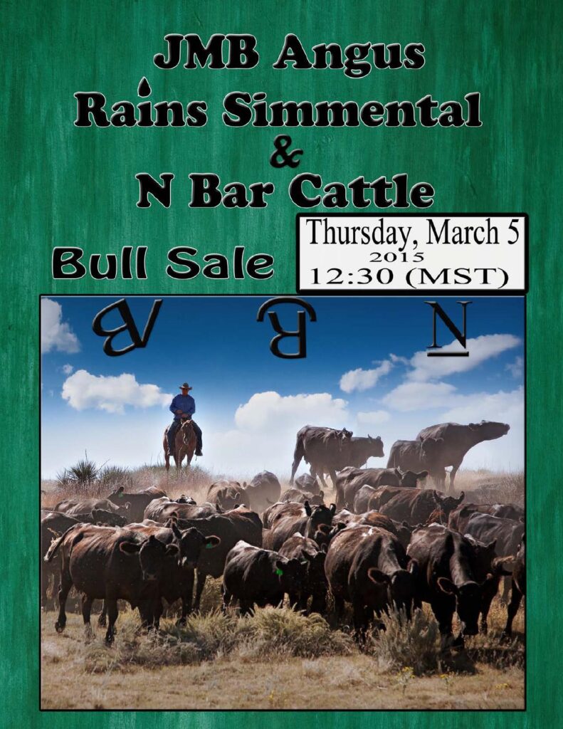 JMB Angus, Rains Simmentals and N Bar Cattle - 2015 Bull Sale