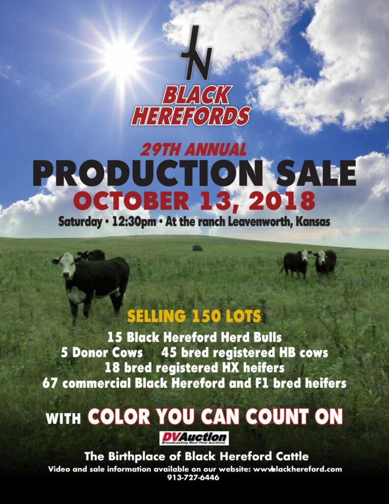 J&N Ranch - 2018 Fall Bull Sale