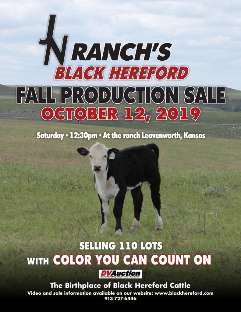J&N Ranch - 2019 Fall Sale
